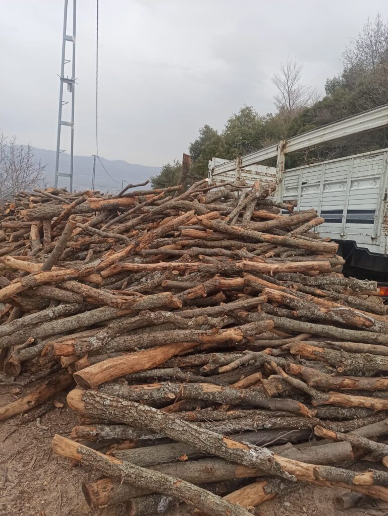 fırınodunu